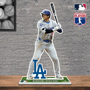 tHgX^h Jĕ obeBOtH[f ANX^h ANX^ fBXvC T[XhW[X MLBCZX ObY W[[O Shohei Ohtani 2024 BLO