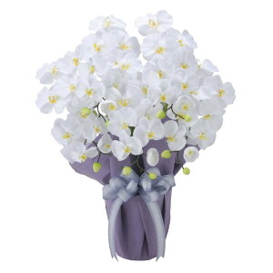 A[gt[ Ӓ  { Y G}H tFCNO[ lHA bsO L h JXj JƏj  X Mtg v[g p(s)yz