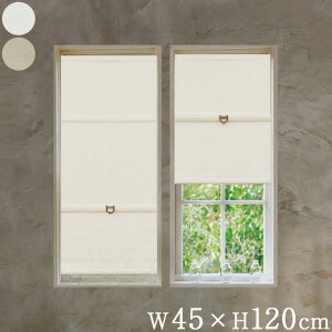 R[hX[}VF[h Ռ W45×H120cm JtFJ[e X^CJ[e  ډB(s)yz