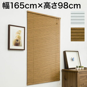 ؖڒ A~uCh 165cm×98cm ߓd Ռ ȃGl Vv  k V l炵 uCh(s)yz