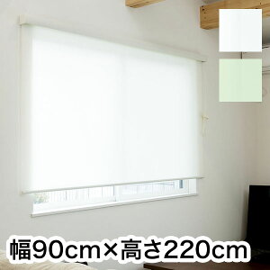 ロールスクリーン カバー付き 幅90cm×高さ220cm シンプル おしゃれ 北欧 オフィス マンション 間仕切り ロールカーテン(代引不可)【送料無料】