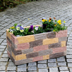 Kv^[ 60cm K v^[ K[fjO AeB[N   뉀(s)yz