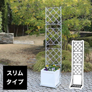 v^[ttFX(X^Cv)uA[KCv IF-FP017 tFX X ACA K[ftFX K[fjO g  d؂  NVJ AeB[N gX IuWF(