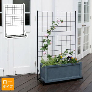 v^[ttFX([^Cv)uOtv IF-GR018 tFX ACA K[ftFX K[fjO g  d؂ iq NVJ AeB[N gX IuWF(s)y