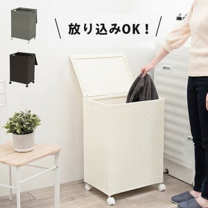 h[{bNX t^t 50cm h[oXPbg ^ h[[ 󂩂 [{bNX  Vv Eߏ ʏ Lb` rO LX^[t c^ e