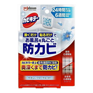 yPi20Zbgz JrL[CɒuhJrWF ₳t[̍ {(s)yz