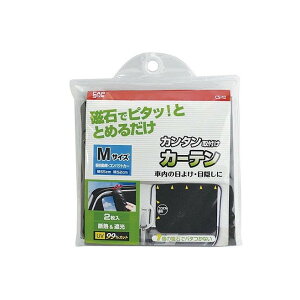 yPi4Zbgz CAP CS-12 }OlbgtJ[eM Ռ(s)yz