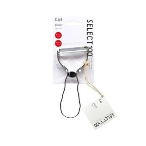 yPi14Zbgz DH3000 ZNg100 T^s[[ L(s)yz