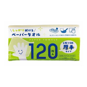 yPi11Zbgz Ct y[p[^I120(s)yz