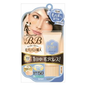 【単品2個セット】常盤薬品工業 サナ 毛穴パテ職人 ミネラルBBクリーム BU(代引不可)【メール便（ゆうパケット）】【送料無料】