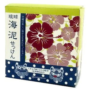 【単品14個セット】琉球海泥せっけん 100g (株)地の塩社(代引不可)【送料無料】