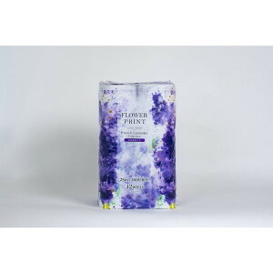 yPi1Zbgzԑt[vgx_[12RW ەx(s)