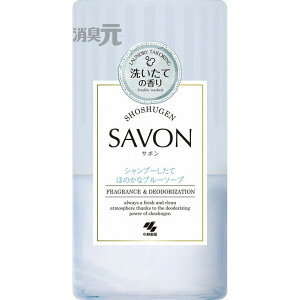 yPi1ZbgzLSAVON 󂵂Ăق̂ȃu[\[v ѐ(s)