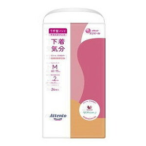 yPi2ZbgzAeg^pcCGKgsNx[WM24 剤(s)yz