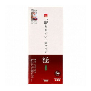 yPi11Zbgz LT-53₷uVɂӂ6{g ЃCtW(s)yz