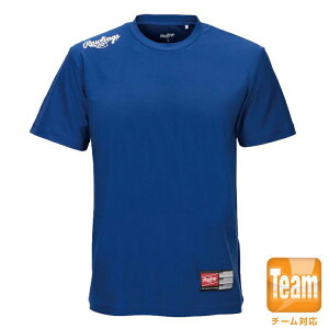 [OX L v[[TVc AST10F01T Cu[/zCg XO Rawlings 싅 x[X{[ Ap K X|[c pc TVcyz