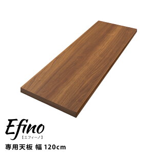JX^}CY bN GtB[m Efino pV 120cm { ؐ Lb`[ [ k i` Vv (s)yz