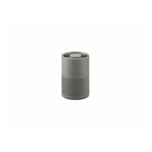 ��C����@ 10�� AAP-S20C-H �O���[�A�C���X�I�[���}(����s��)�y���������z