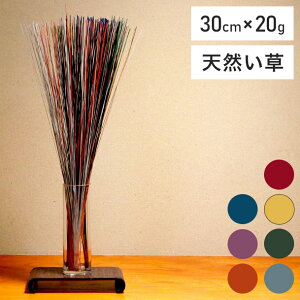 tOX 30cm×20g CeA  L   rOCeA ֏  킢 VR C@  COT 䑐(s)yz