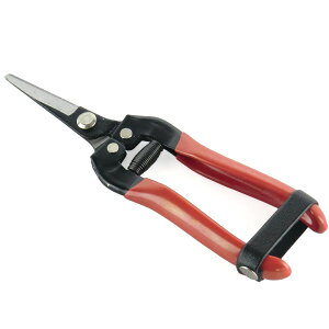 �E���� �ƒ�؉� �ʎ��� ���n ���ɂ��� �r�j�[���R�[�e�B���O �ʕ� ��� �_�� ���n��� �͂���(����s��)�y���������z