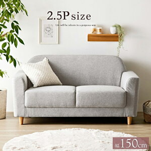 kfUC\t@ 2.5l| 150cm ۂ݃fUC \t@[ 2.5l| 2l| rO\t@[ \t@ t@ubN VR `FA 킢(s)yz