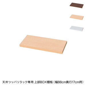 { V cbp bN p㕔BOXpI88cm s17cm Y [ ς ς[ [bN ς胉bN(s)yz