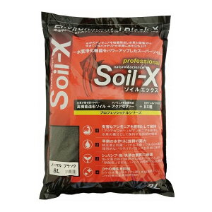 B-blast \CGbNX m[} ubN 8L { Y Ϗ܋ ANAE ꍻ