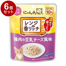 【6個セット】 はごろもフーズ にゃんチュラル香リッチ 鶏肉の豆乳チーズ風味 40g