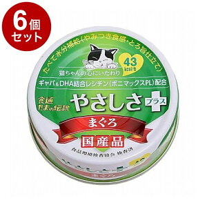 y6Zbgz STIT[ H ܂̓` ₳vX ܂ 70g