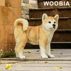 WOOBIA EČ 35.5cm  Aj} u K[f I[jO L   CMX D Ntg}Vbv(s)yz