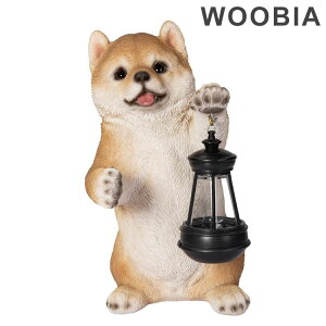 WOOBIA vCk  Aj} u K[f I[jO L   CMX D Ntg}Vbv(s)yz