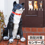 センサー式 お出迎えワンワン わんわんリキ 単三電池 明暗センサー 感知式 ガーデンオーナメント 防犯対…