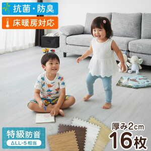 �W���C���g�}�b�g �唻 ���� 2cm 60cm 16�� 3�� �����h�� �f�M �ۉ� �ϔM �R�� �h�L �m���z���� �T�C�h�p�[�c�t�� �􂦂� �ؖ� �i�`������ �v���C�}�b�g �L�b�Y�}�b�g �t���A�}�b�g �J�b�g�\�y