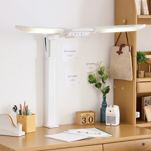 cCCg LED RCY~ KOIZUMI [h Rg[ fXNCg Ɩ px  F ݑΖ [g[N Ɩ ȃGl e[N  ׋ V Nv  Ɩp