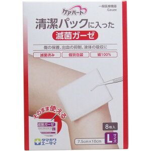 PAn[g pbNɓŋۃK[[ LTCY 8 K[[ 