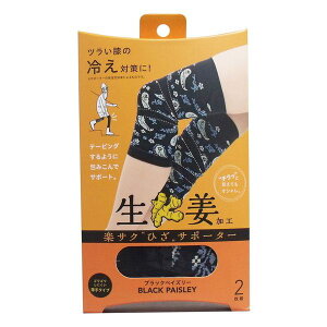 yTN ЂT|[^[ IH ubNyCY[ 2gyz