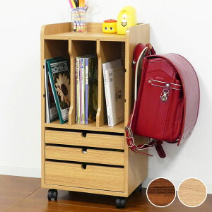 rOS 36.5cm hZbN hZS LX^[t X LbY[ q   ȏ [(s)yz