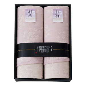 Bi VN܏dDK[[Pbg2P IP-301(s)yz