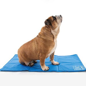 M-PETS Gybc FROZENN[O}bg S WF}bg Ђ ₽ ΍ MǑ΍ RpNg ܂肽 ʎdl p ybgpyz