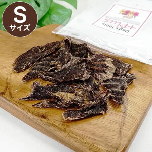 DOG'S TABLE PLUS hbOXe[uvX Y r[tW[L[ STCY  W[L[ p ybgp  g[c