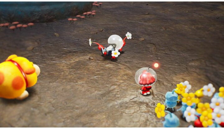 楽天市場】任天堂 Switch ソフト ピクミン4 Pikmin 4 パッケージ版 
