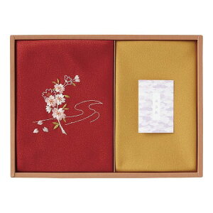 Ԃ̗V hJЕC~&  250-14A(s)yz