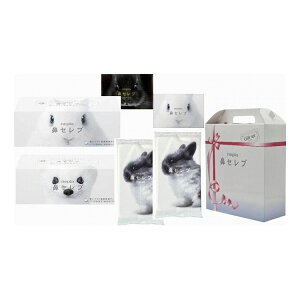 qlsA lsA@ZuMtg WIDE5 NHS-2002209(s)yz