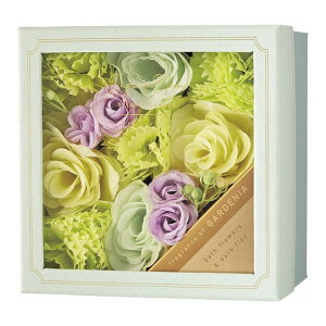 fCYCu[ oXt[Mtg K[fjA 12225002(s)yz