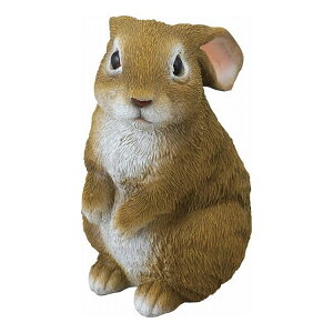 Z[uC_Xg[ ~j SV-5868(s)yz