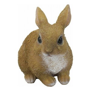 Z[uC_Xg[ ̂肤 SV-5967(s)yz