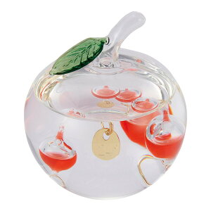 KXt[gxv  v 333-218(s)yz