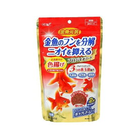 楽天市場 金魚元気の通販