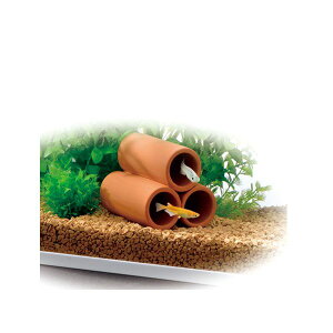 WFbNX ifẲBƊۓyǃ~j3A