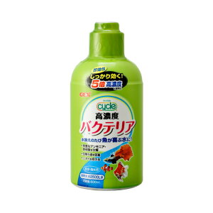 WFbNX TCN 500ml ybgpi Mы ANAEpi Ǘ ܁yz
